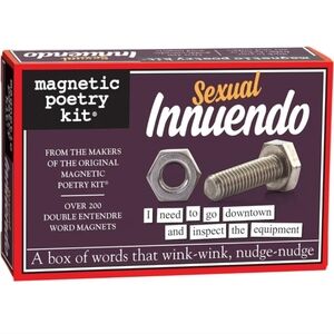 Magnetic Poetry - Sexual Innuendo Kit